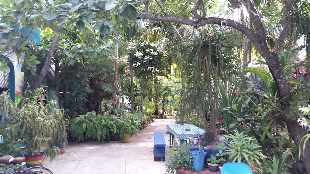 הוסטל טולום Rancho Tranquilo מראה חיצוני תמונה
